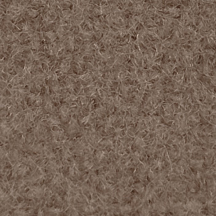 CLOTH-camel