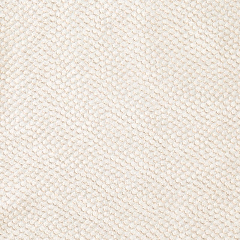 CUSHION_FABRIC-jazzy_parchment