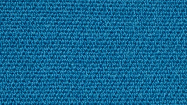 Championship Blue